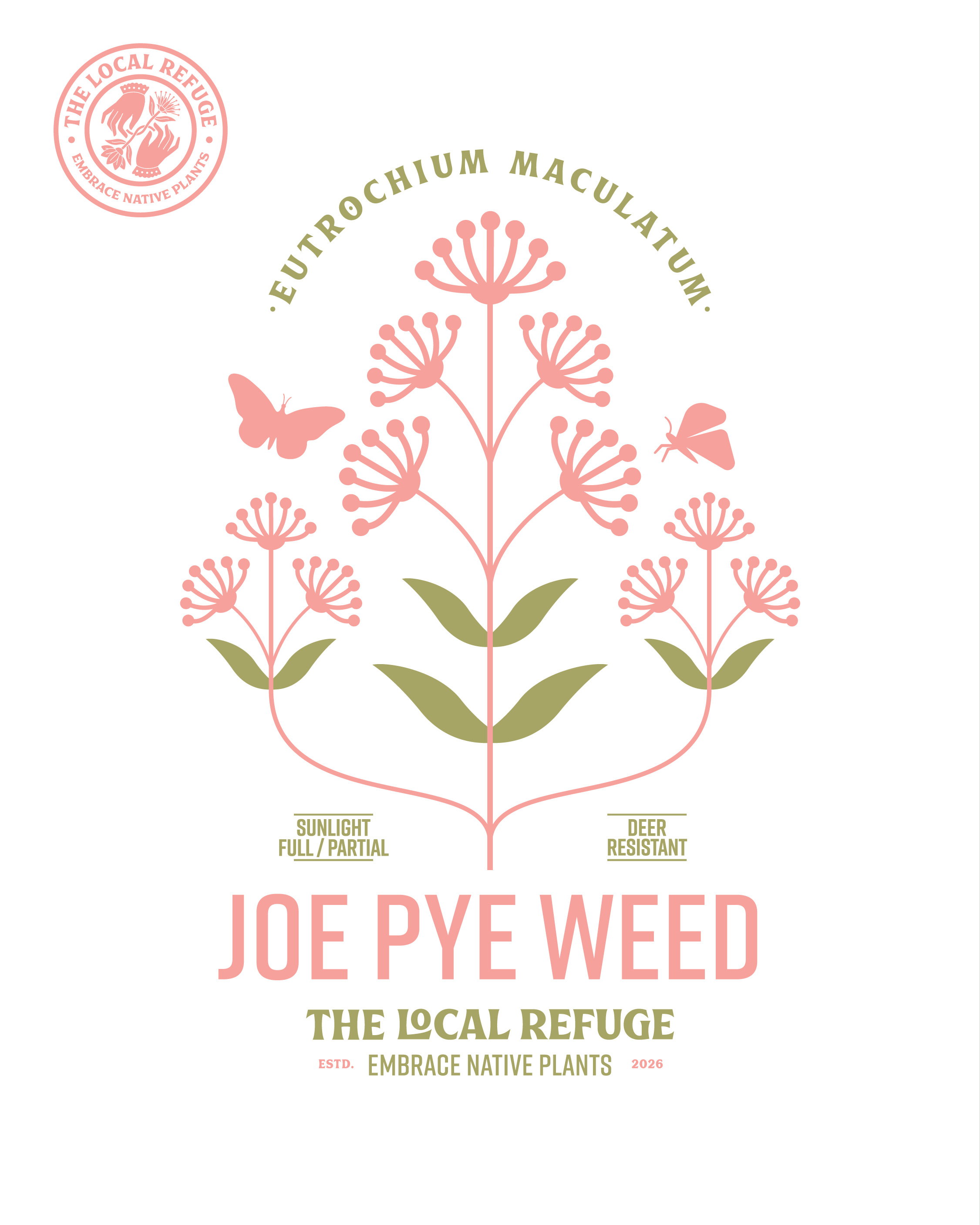 Joe Pye Weed Shirt - White