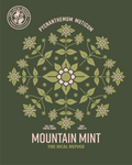 Mountain Mint Shirt - Green